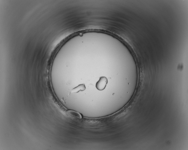 X0000111231119200907161309
