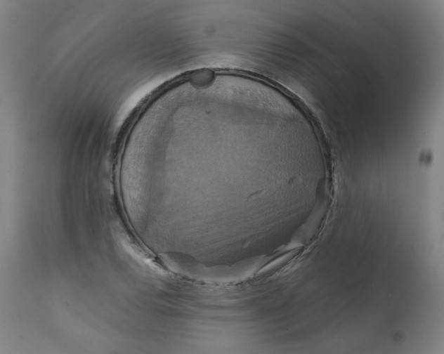 X0000111231120200907161309
