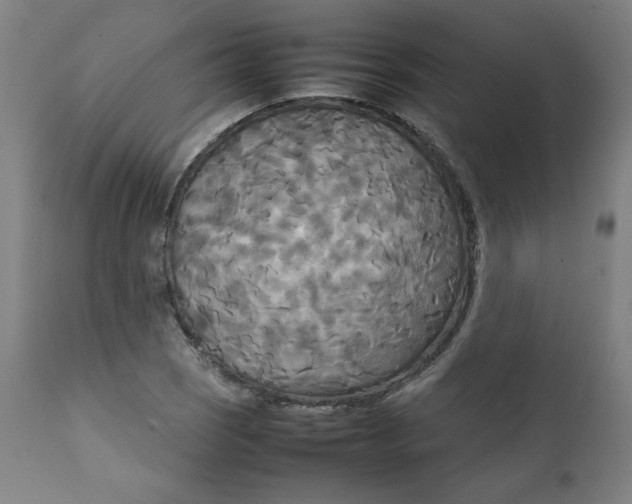 X0000111231121200907161309