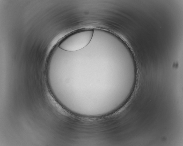 X0000111231122200907161309