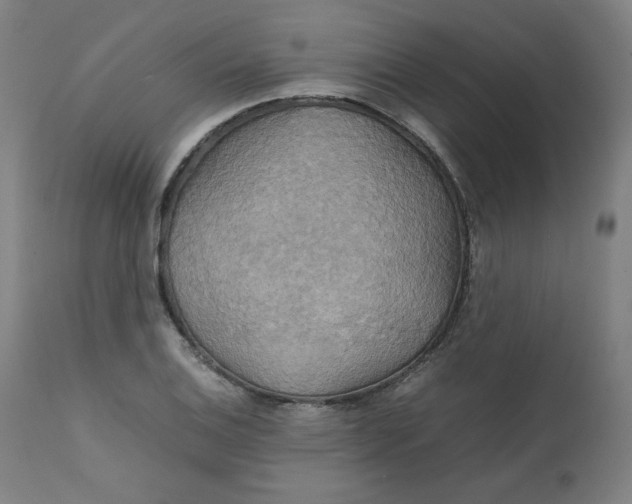 X0000111231124200907161310