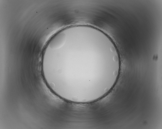 X0000111231126200907161310