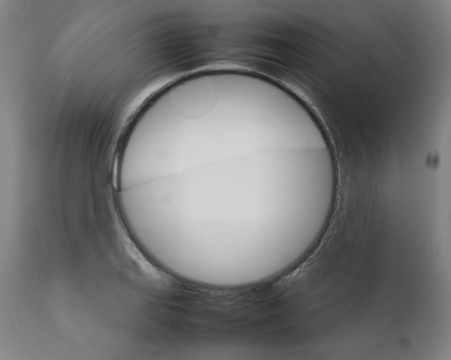 X0000111231127200907161310