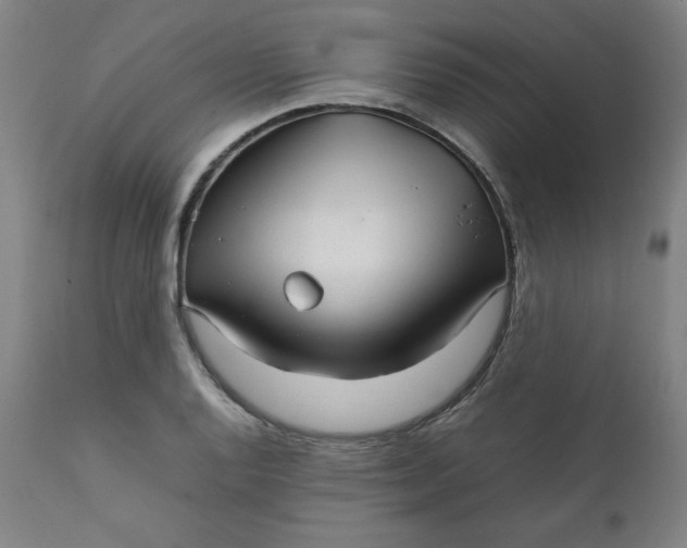 X0000111231128200907161310