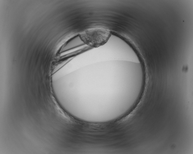X0000111231129200907161310
