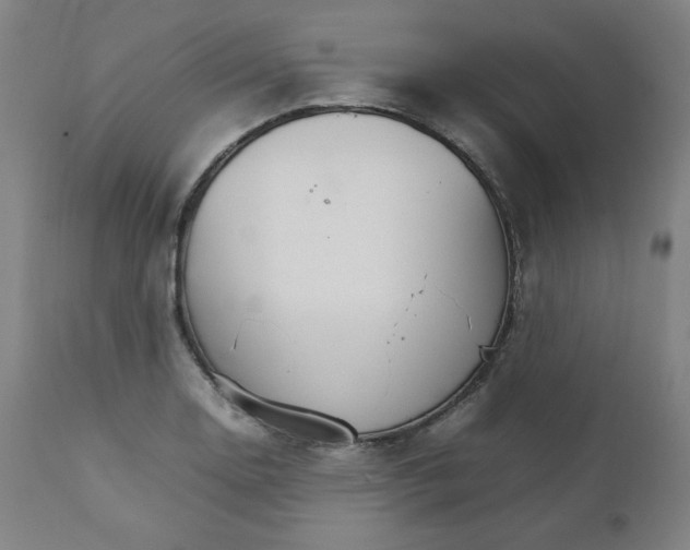X0000111231130200907161310