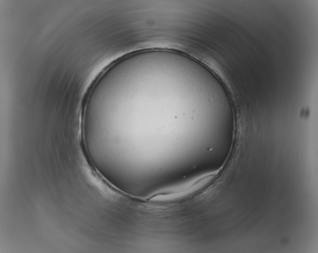 X0000111231132200907161310