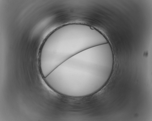 X0000111231135200907161310