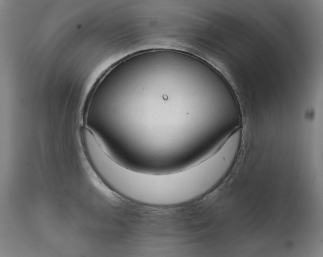 X0000111231136200907161310
