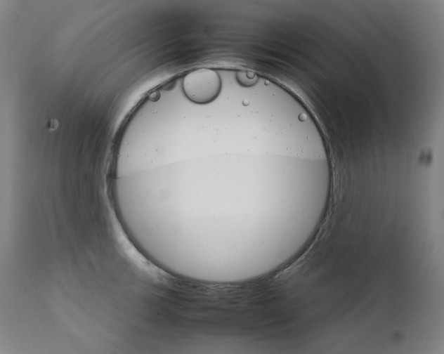 X0000111231139200907161310