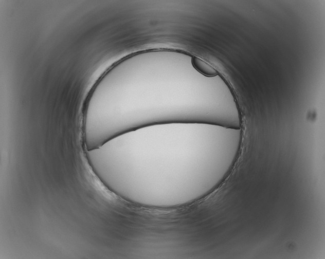 X0000111231140200907161310