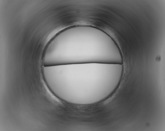 X0000111231141200907161310
