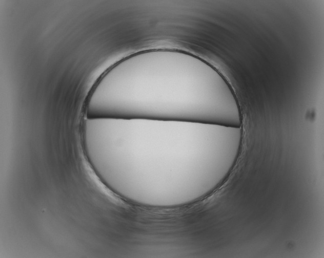 X0000111231142200907161310