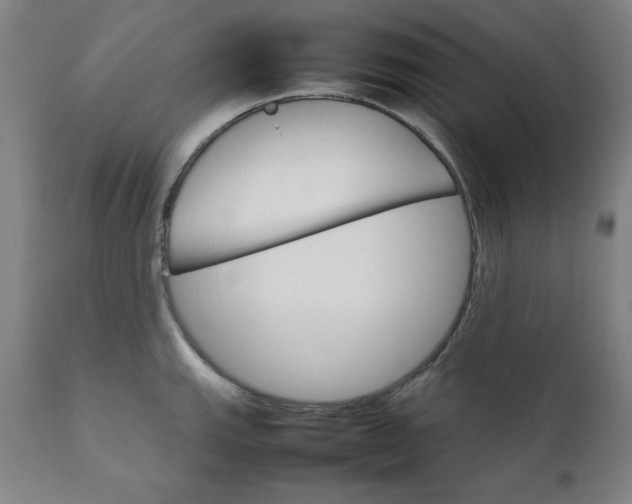 X0000111231143200907161310
