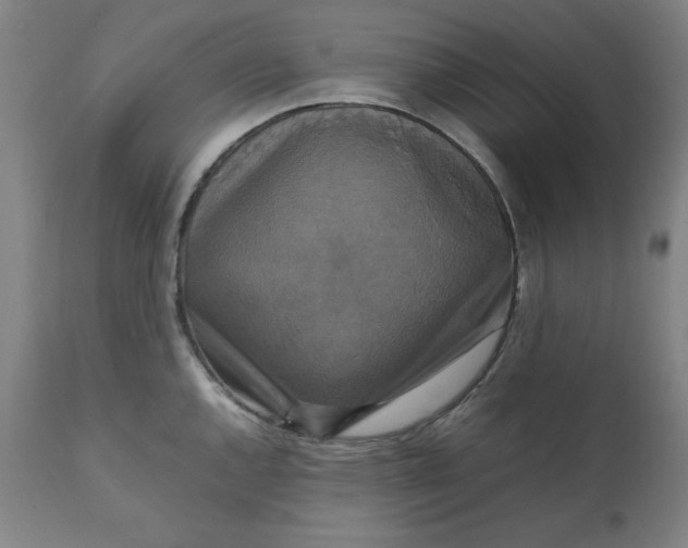 X0000111231144200907161310