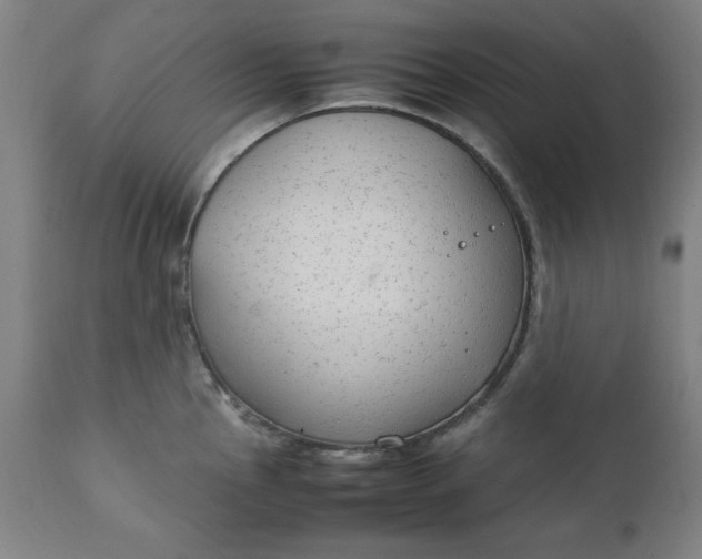 X0000111231145200907161310