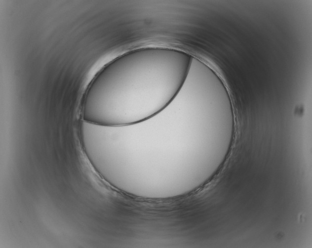 X0000111231146200907161310