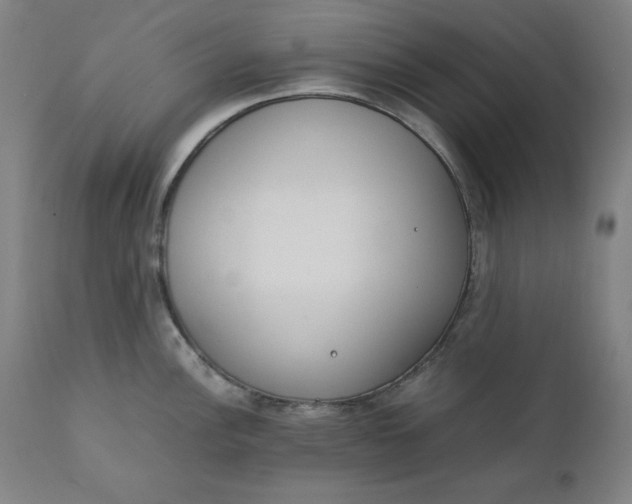 X0000111231148200907161310