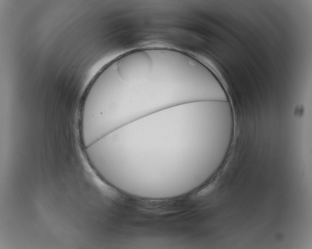 X0000111231149200907161310
