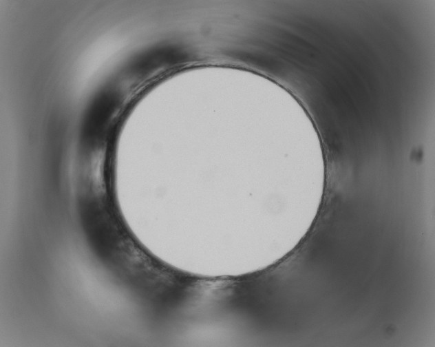 X0000111231150200907161310