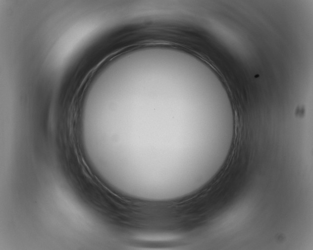 X0000111231151200907161310