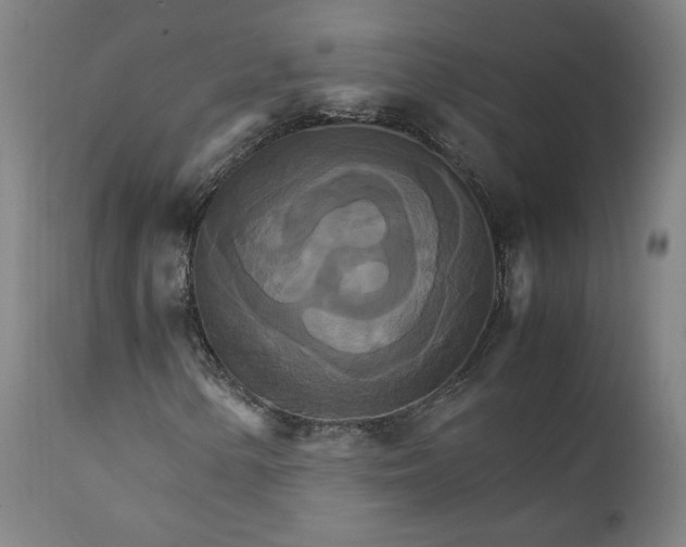 X0000111231154200907161309