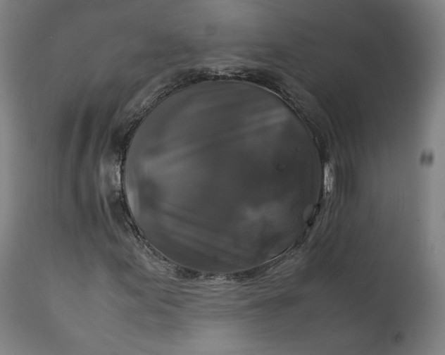 X0000111231155200907161309