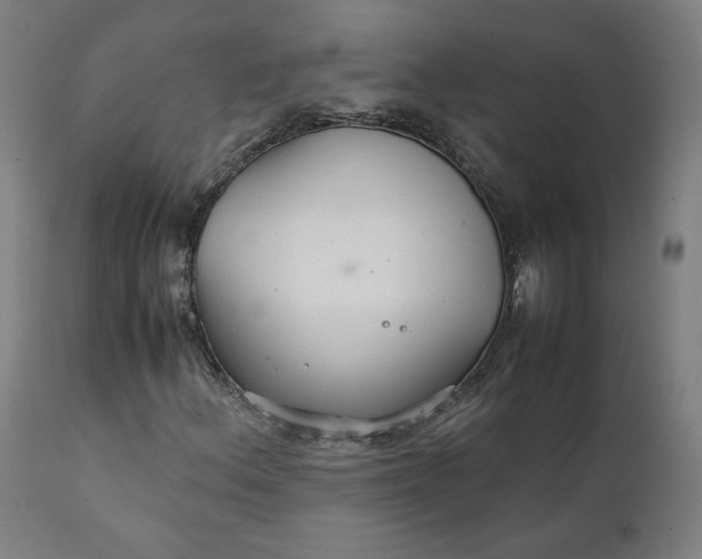 X0000111231156200907161309