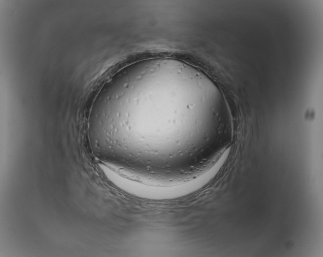 X0000111231157200907161309