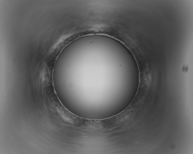 X0000111231158200907161309