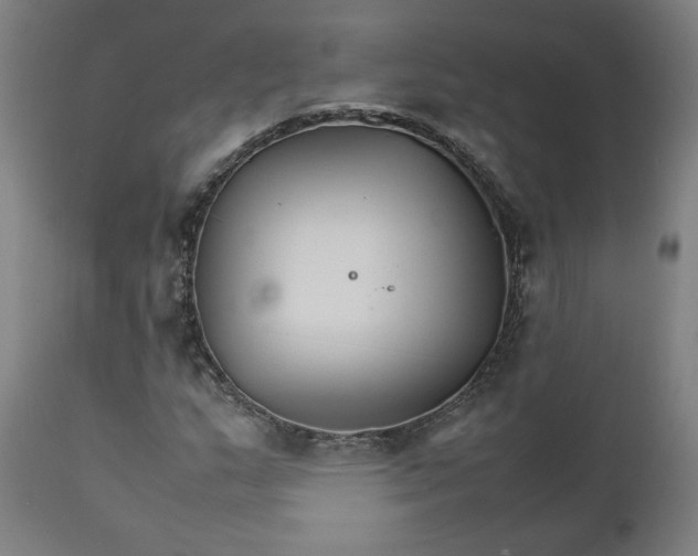 X0000111231159200907161309