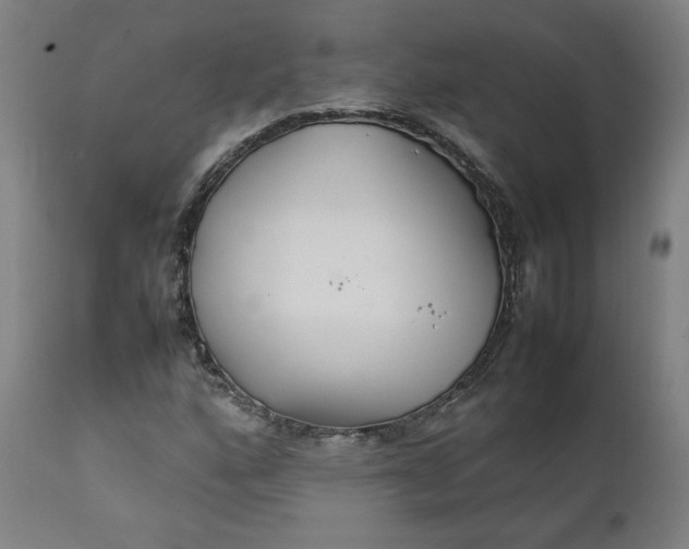 X0000111231160200907161309