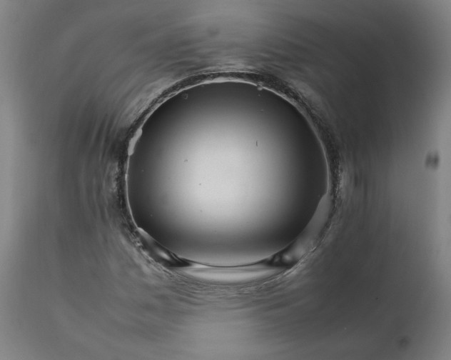 X0000111231161200907161309