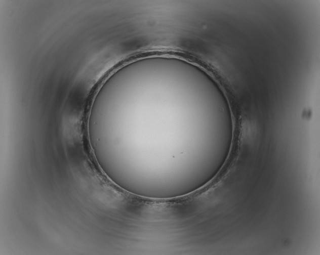 X0000111231162200907161309