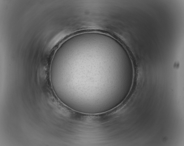 X0000111231163200907161309