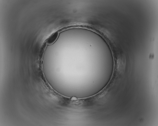X0000111231165200907161309