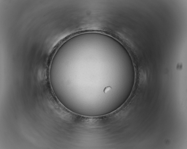 X0000111231166200907161309