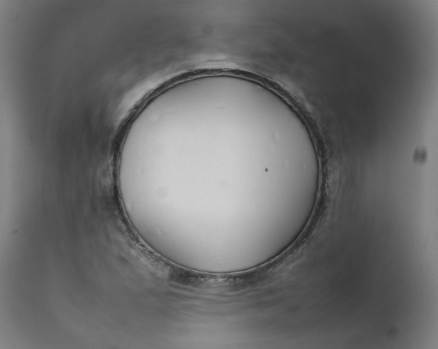 X0000111231167200907161309