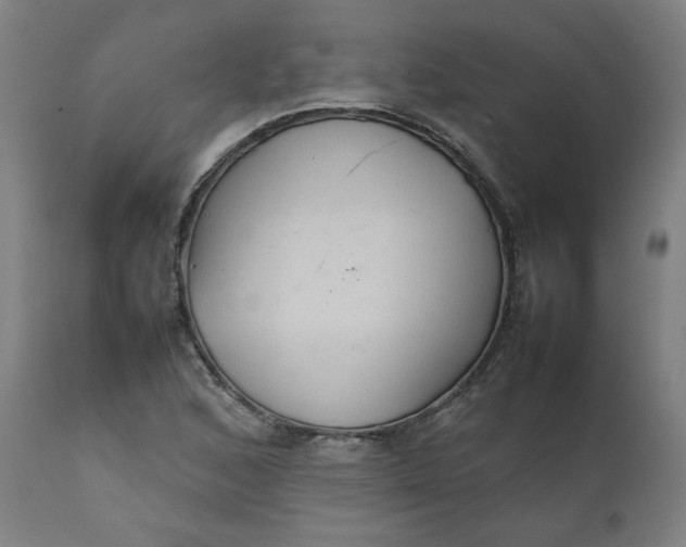 X0000111231168200907161309