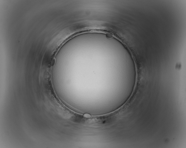 X0000111231169200907161309