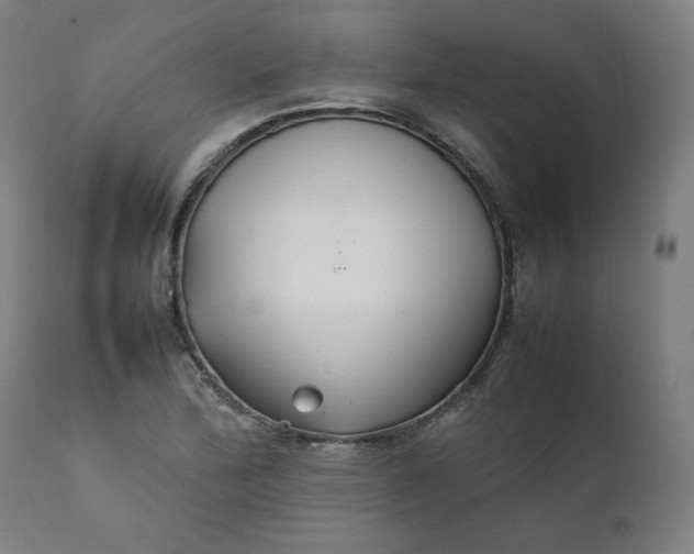 X0000111231172200907161309