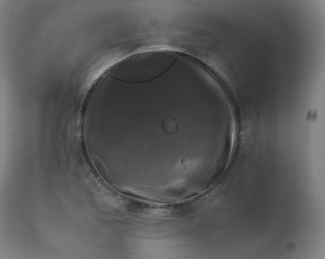 X0000111231173200907161309