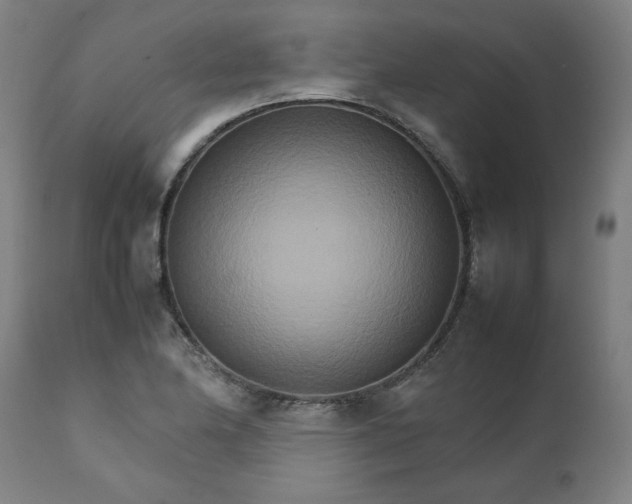 X0000111231174200907161309