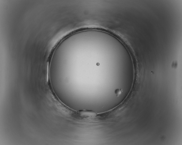 X0000111231175200907161309