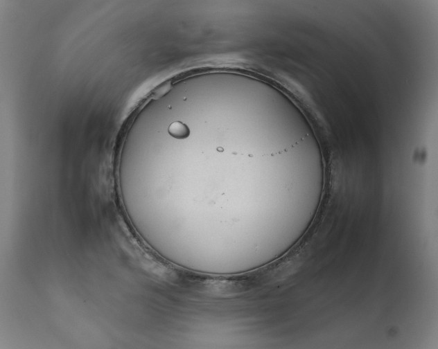 X0000111231176200907161309