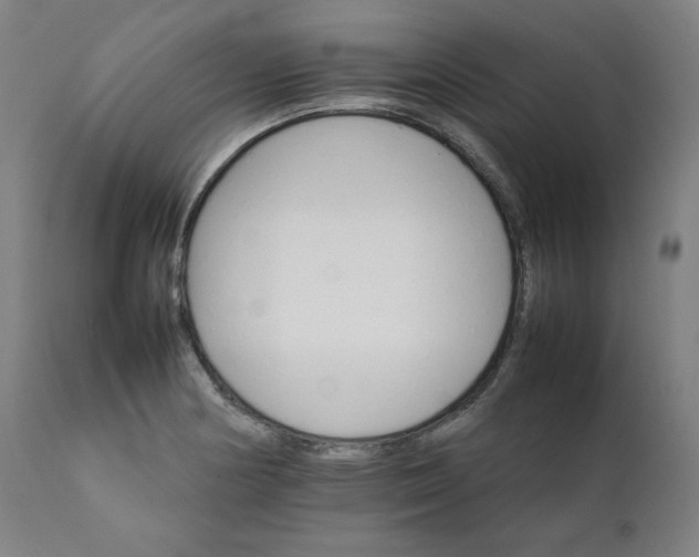 X0000111231178200907161309