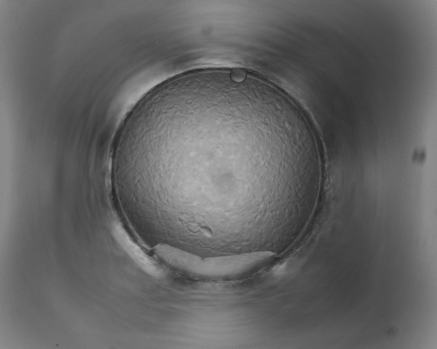 X0000111231179200907161309