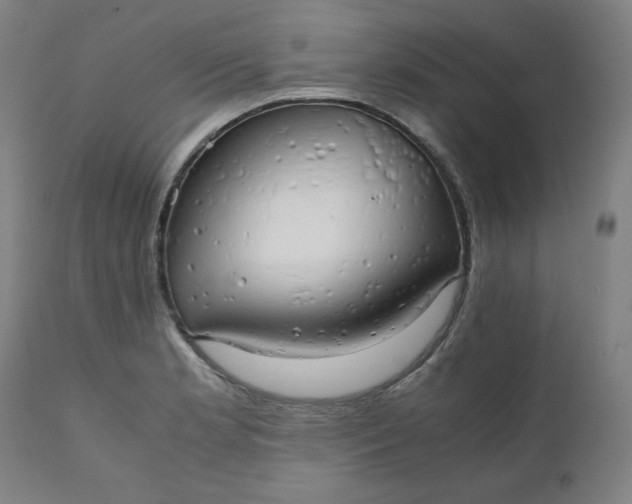 X0000111231181200907161309