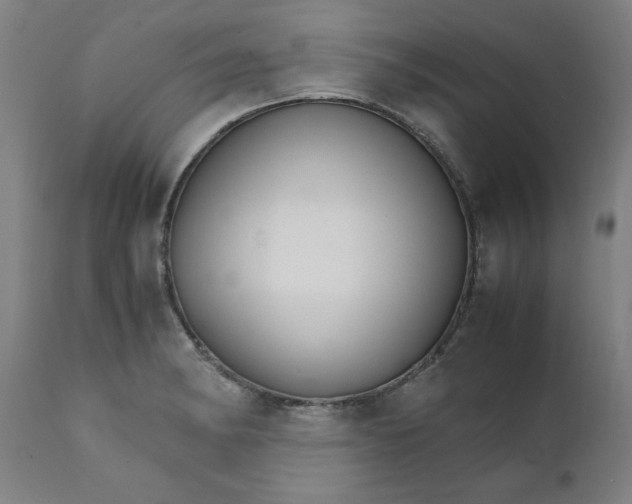 X0000111231182200907161309