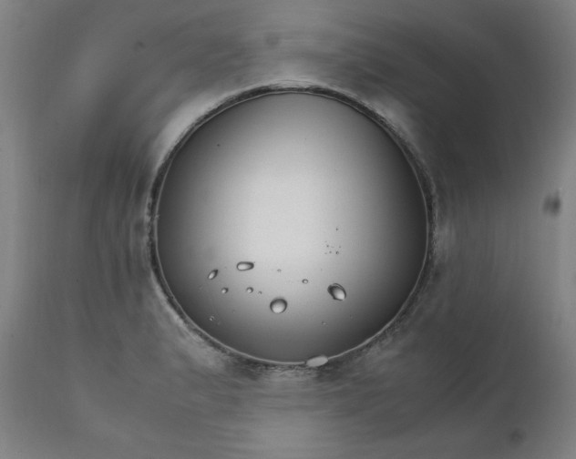 X0000111231183200907161309